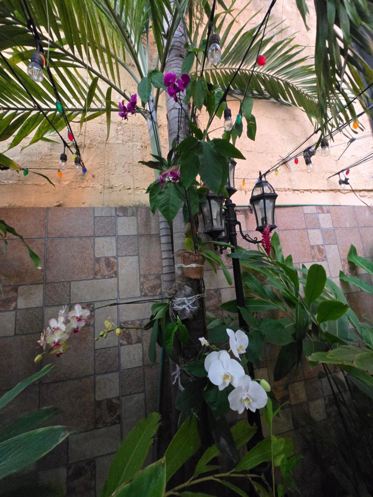Hotel Posada Marcas Cancun Exterior photo